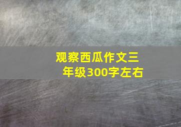 观察西瓜作文三年级300字左右