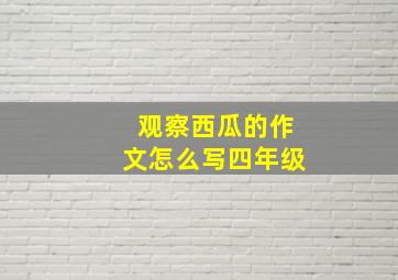 观察西瓜的作文怎么写四年级