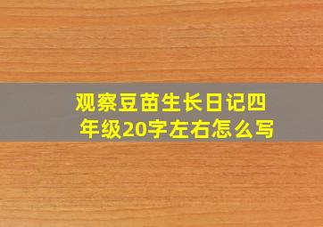 观察豆苗生长日记四年级20字左右怎么写