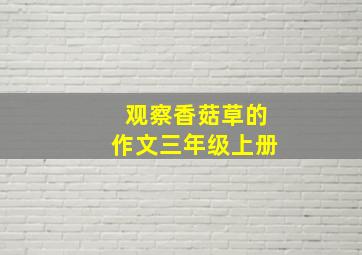 观察香菇草的作文三年级上册