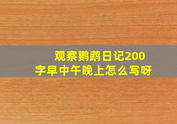 观察鹦鹉日记200字早中午晚上怎么写呀