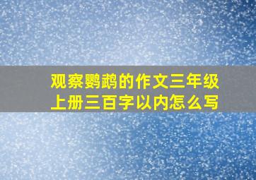 观察鹦鹉的作文三年级上册三百字以内怎么写