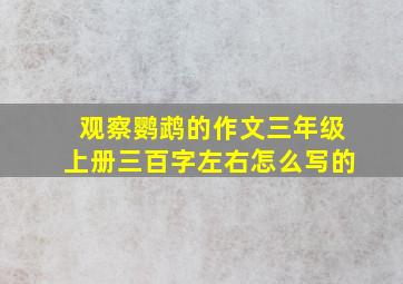 观察鹦鹉的作文三年级上册三百字左右怎么写的