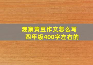 观察黄豆作文怎么写四年级400字左右的