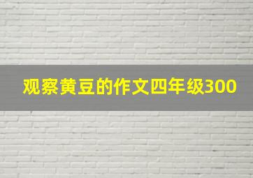 观察黄豆的作文四年级300