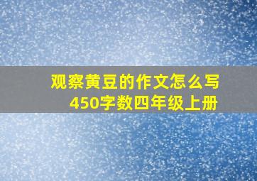 观察黄豆的作文怎么写450字数四年级上册