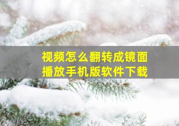 视频怎么翻转成镜面播放手机版软件下载