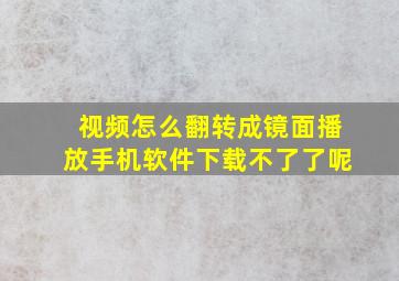 视频怎么翻转成镜面播放手机软件下载不了了呢