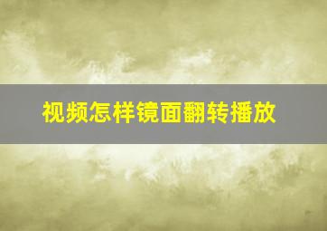 视频怎样镜面翻转播放