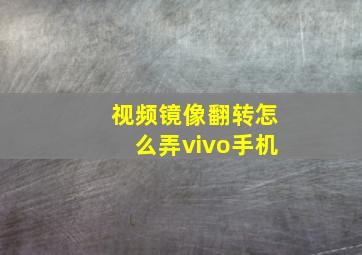 视频镜像翻转怎么弄vivo手机