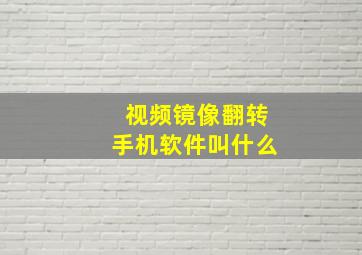 视频镜像翻转手机软件叫什么