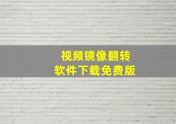 视频镜像翻转软件下载免费版