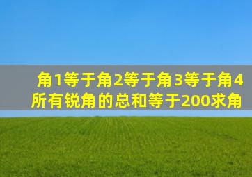 角1等于角2等于角3等于角4所有锐角的总和等于200求角