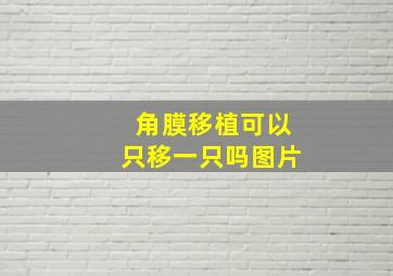 角膜移植可以只移一只吗图片