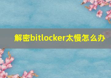 解密bitlocker太慢怎么办