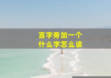 言字旁加一个什么字怎么读