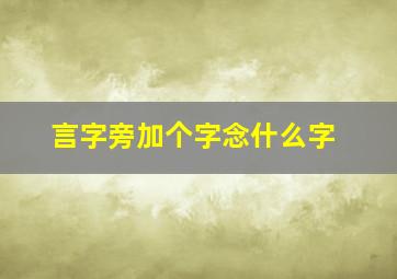 言字旁加个字念什么字