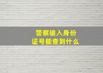 警察输入身份证号能查到什么