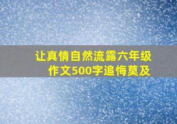 让真情自然流露六年级作文500字追悔莫及