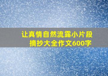 让真情自然流露小片段摘抄大全作文600字