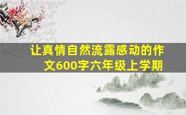 让真情自然流露感动的作文600字六年级上学期