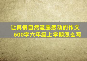 让真情自然流露感动的作文600字六年级上学期怎么写