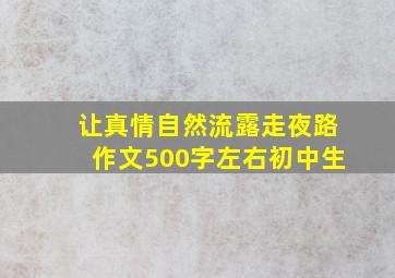 让真情自然流露走夜路作文500字左右初中生