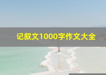 记叙文1000字作文大全