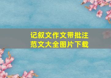 记叙文作文带批注范文大全图片下载