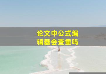 论文中公式编辑器会查重吗