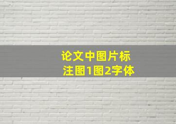 论文中图片标注图1图2字体