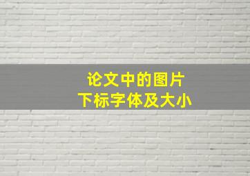 论文中的图片下标字体及大小