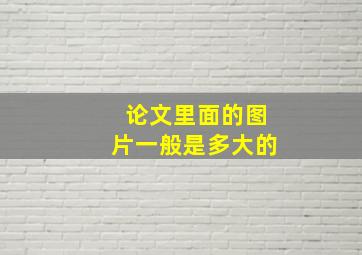 论文里面的图片一般是多大的