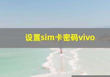 设置sim卡密码vivo