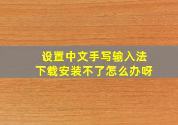 设置中文手写输入法下载安装不了怎么办呀