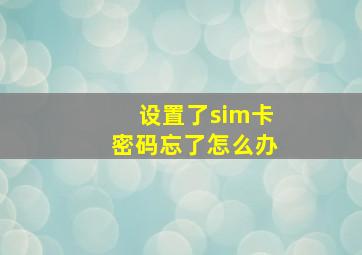 设置了sim卡密码忘了怎么办