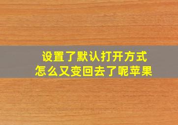 设置了默认打开方式怎么又变回去了呢苹果