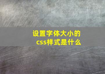 设置字体大小的css样式是什么