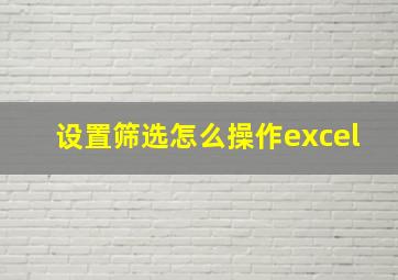 设置筛选怎么操作excel