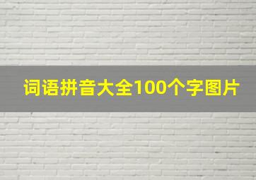 词语拼音大全100个字图片