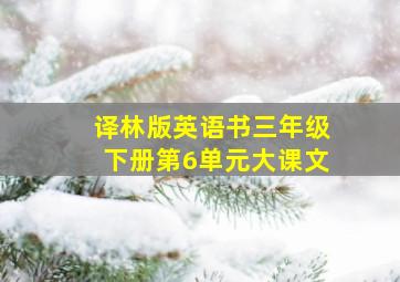 译林版英语书三年级下册第6单元大课文