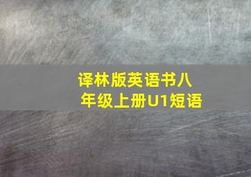 译林版英语书八年级上册U1短语