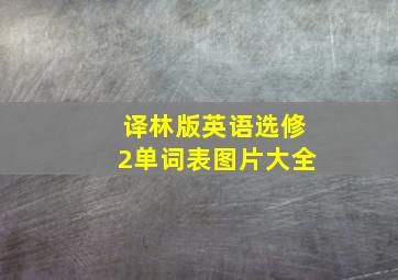 译林版英语选修2单词表图片大全