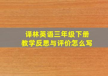 译林英语三年级下册教学反思与评价怎么写