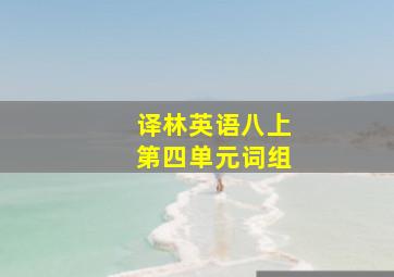 译林英语八上第四单元词组