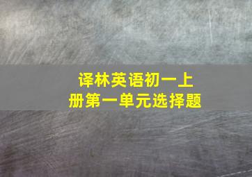 译林英语初一上册第一单元选择题