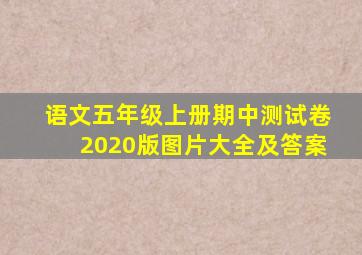 语文五年级上册期中测试卷2020版图片大全及答案