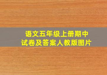 语文五年级上册期中试卷及答案人教版图片