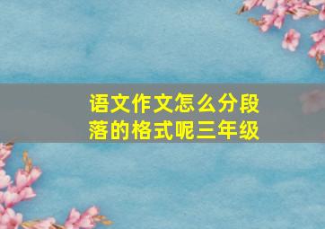 语文作文怎么分段落的格式呢三年级