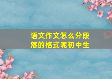 语文作文怎么分段落的格式呢初中生